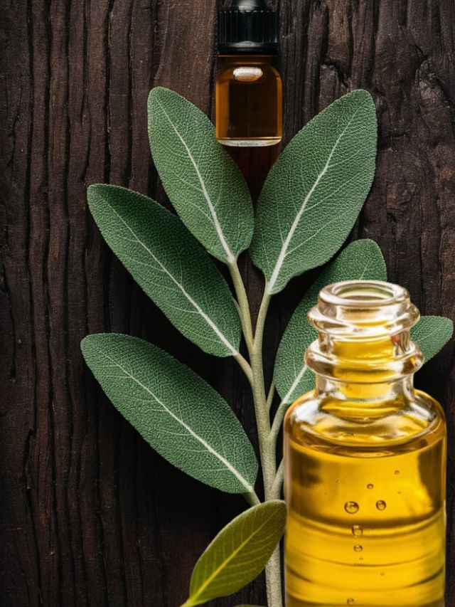 10 Powerful Health Benefits Of Sage Oil You Must Know About